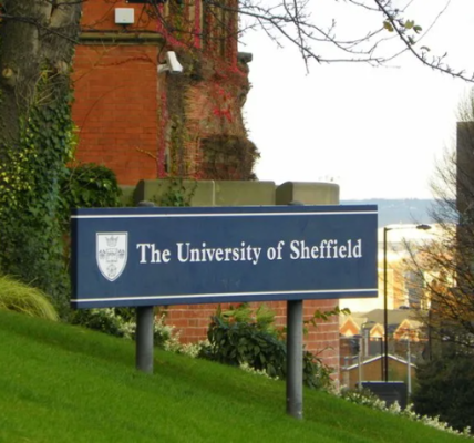 Fakultas yang Paling di Minati pada Universitas Sheffield