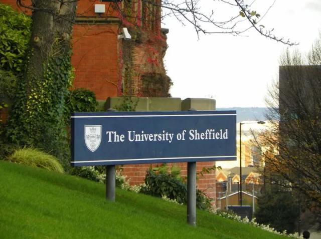 Fakultas yang Paling di Minati pada Universitas Sheffield