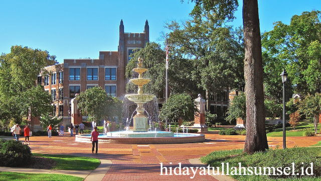 Universitas North Alabama: Pusat Pendidikan Unggul